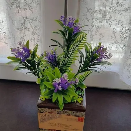 Apartamento Casa Alex Ausy, Moderno Monolocale Con Balcone,self Check-in,wifi Free Turim