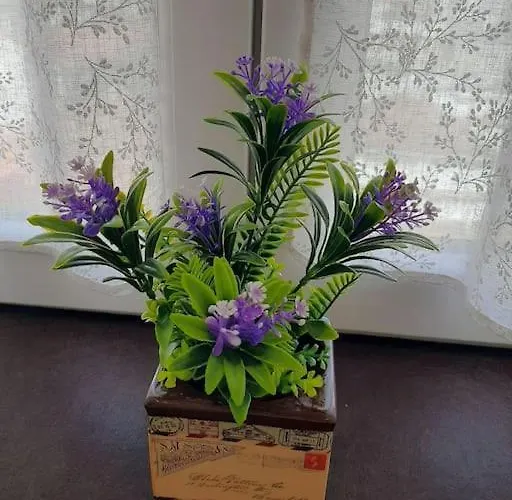 Apartment Casa Alex Ausy, Moderno Monolocale Con Balcone,self Check-in,wifi Free Turin